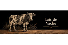 Lait de Vache