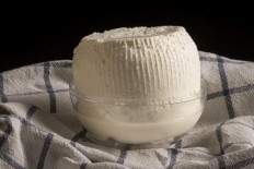 Fromages frais & Spécialités fromagères